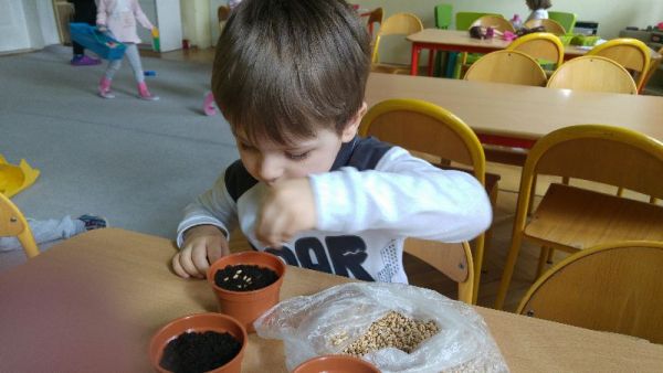 30741551_1637292472991186_5911988230579814400_n (1).jpg