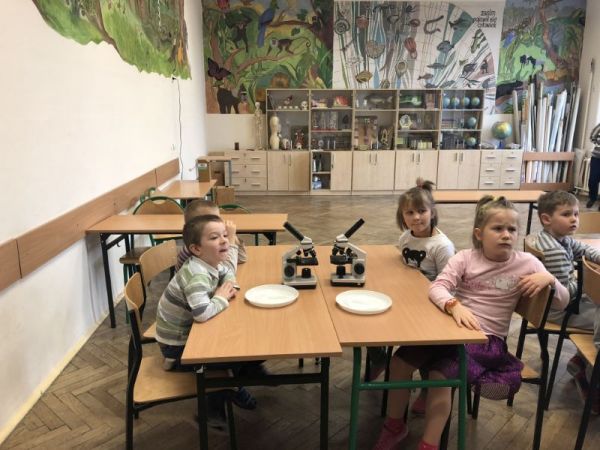 zajęcia adaptacyjne004.jpg