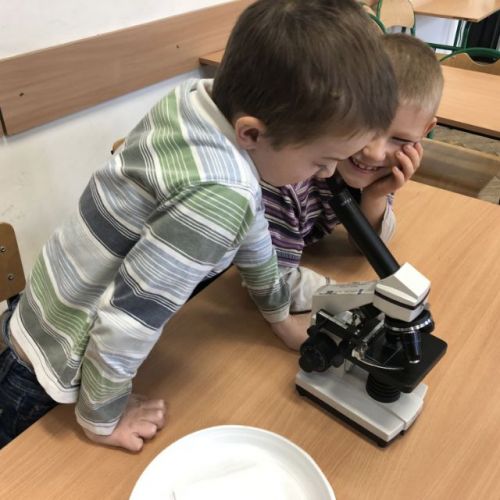 zajęcia adaptacyjne013.jpg