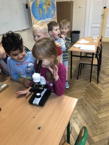 zajęcia adaptacyjne020.jpg