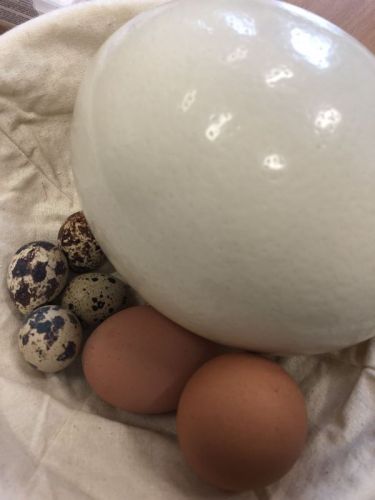 zajęcia adaptacyjne025.jpg