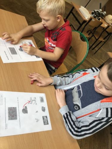 zajęcia adaptacyjne028.jpg